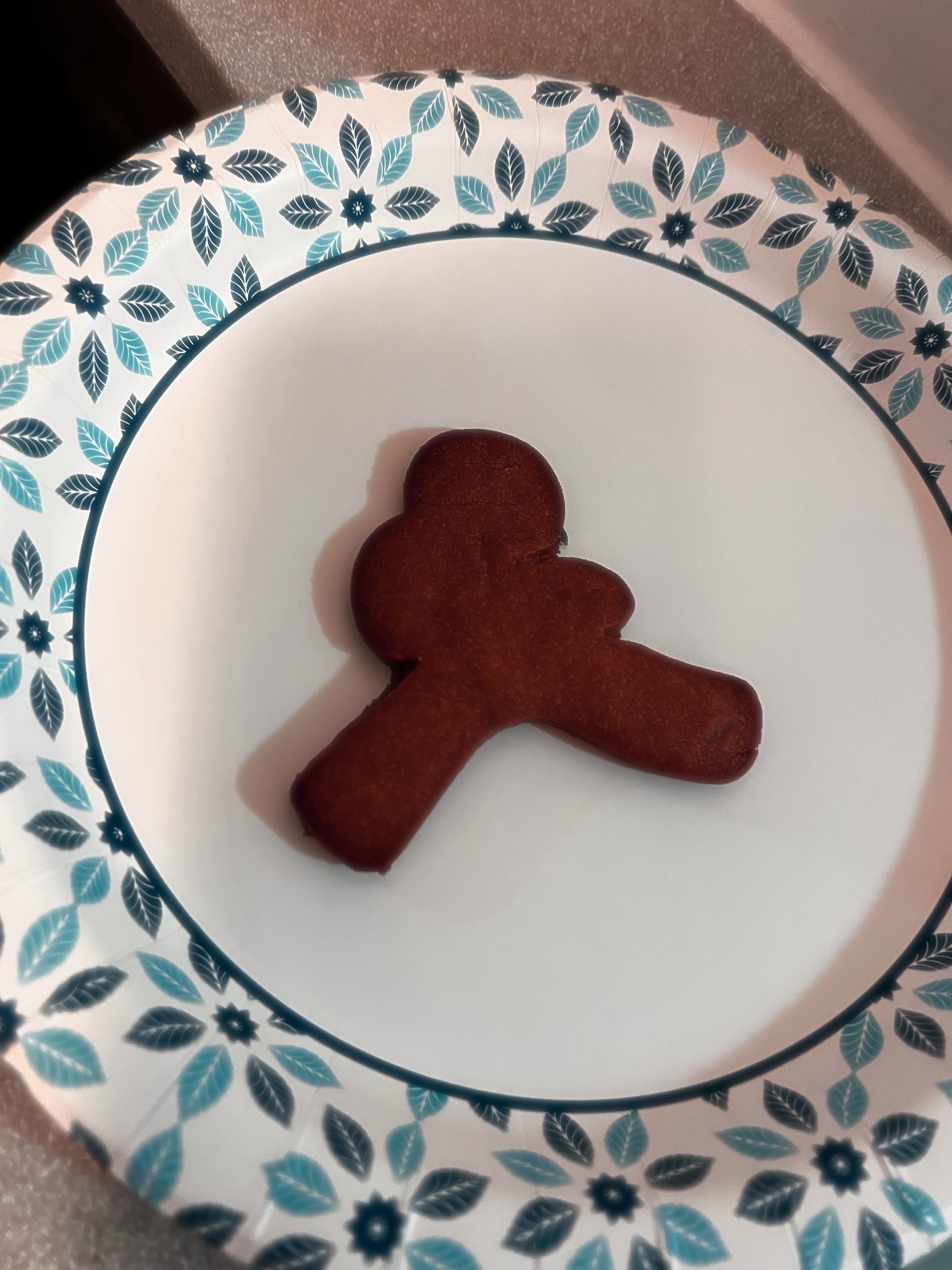 Yes, it's really a gingerbread karateka.